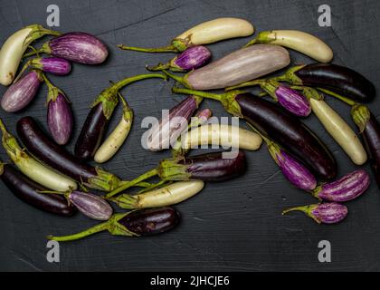 Aubergine et aubergine de conte de fées Banque D'Images