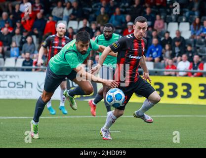 Seaview, Belfast, Irlande du Nord, Royaume-Uni. 14 juillet 2022. Première partie de qualification de la Ligue des conférences de l'UEFA (deuxième partie) – Crusaders 3 Magpies 1. Le joueur de football des croisés Paul Heatley (22). Banque D'Images