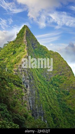 Photos de la jungle d'Oahu - Hawaï. Images d'Oahu - l'État d'Hawaï. Banque D'Images