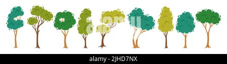 Ensemble de dessins animés à plat arbres. Forêt et parc résumé plante stylisée à feuilles persistantes, collection botanique écologique nature. Arbre à feuilles caduques avec des feuilles et des couronnes luxuriantes. Dessin vert illustration vectorielle paysage Illustration de Vecteur