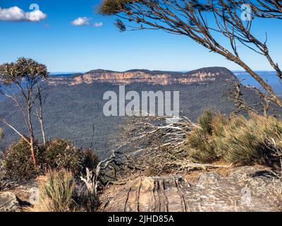 Mont Solitary, Jamison Valley, Blue Mountains. Banque D'Images