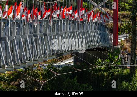 Vue d'un pont de suspension en fer reliant une zone isolée à la zone environnante Banque D'Images