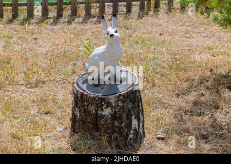 le lapin blanc se trouve sur une souche dans la forêt Banque D'Images