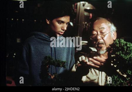 RALPH MACCHIO, Pat Morita, Karaté Kid, 1984 Banque D'Images