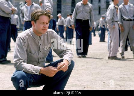 TIM ROBBINS, The Shawshank Redemption, 1994 Banque D'Images