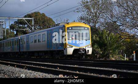 Train jaune et bleu Siemens Nexas, en direction de Williamstown via le centre-ville de Melbourne, avec la marque actuelle PTV et Metro Banque D'Images