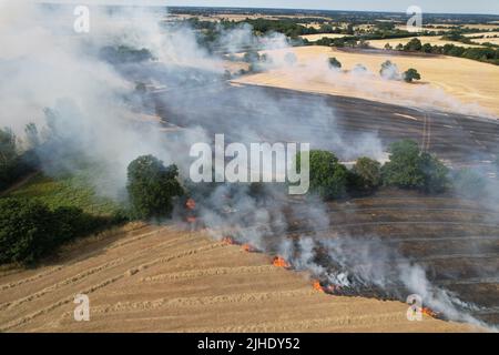 Énormes feux sauvages dans les champs de ferme Essex Ongar Banque D'Images