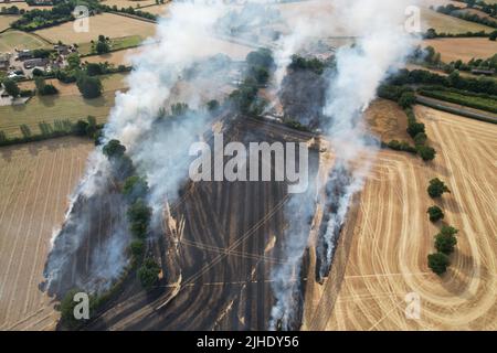 Énormes feux sauvages dans les champs de ferme Essex Ongar Banque D'Images