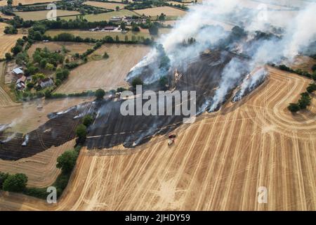 Énormes feux sauvages dans les champs de ferme Essex Ongar Banque D'Images