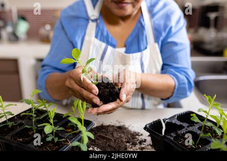 Section médiane de la femme biraciale mature tenant le prélèvement et le compost tout en plantant sur la table à la maison Banque D'Images