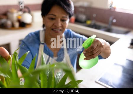 Vue en grand angle de la femme biraciale mature avec des cheveux courts pulvérisant de l'eau sur la plante poussant à la maison Banque D'Images