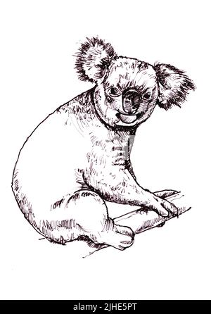 Illustration noire et blanche d'un koala sur fond blanc. Banque D'Images