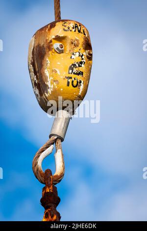 Grue sur le quai de Soames Island, Wellington, Île du Nord, Nouvelle-Zélande Banque D'Images