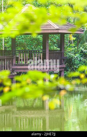 Un pavillon en bois brun vide dans un étang est entouré d'un jardin tropical vert avec des palmiers à noix de coco. Banque D'Images