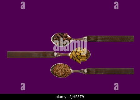 sélection assortiment d'épices indiennes graines de cumin cardamome gousses cardamon clous de girofle exposés sur des cuillères sur un fond violet coloré Banque D'Images
