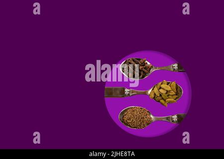 sélection assortiment d'épices indiennes graines de cumin cardamome gousses cardamon clous de girofle exposés sur des cuillères sur un fond violet coloré Banque D'Images