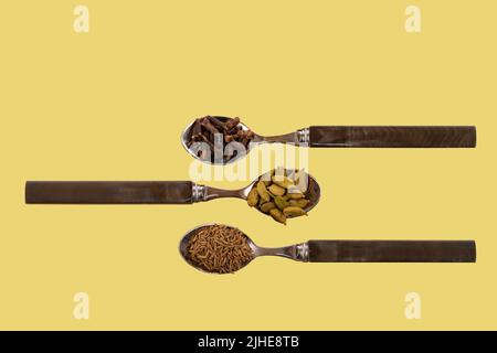 sélection assortiment d'épices indiennes graines de cumin cardamome gousses cardamon clous de girofle exposés sur des cuillères sur un fond jaune coloré Banque D'Images