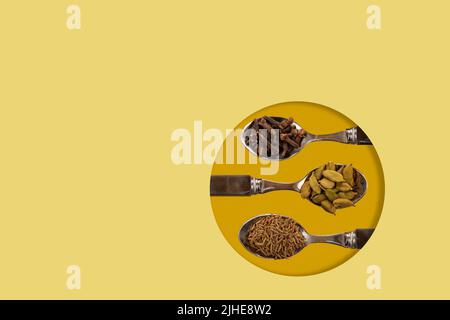 sélection assortiment d'épices indiennes graines de cumin cardamome gousses cardamon clous de girofle exposés sur des cuillères sur un fond jaune coloré Banque D'Images