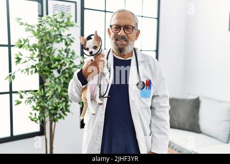 Homme senior à poil gris portant un uniforme vétérinaire tenant chihuahua avec un collier élisabéthain à la clinique vétérinaire Banque D'Images