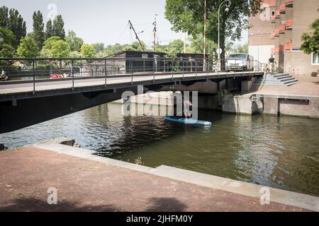Un homme sur un stand paddle monter à bord des canards sous un pont sur un canal lors d'une journée chaude et ensoleillée à Amsterdam, pays-Bas. Banque D'Images