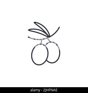 Olives sur le vecteur d'illustration de l'icône de la branche Illustration de Vecteur