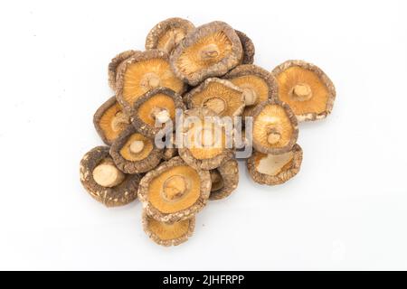 champignons séchés sur fond blanc. Banque D'Images