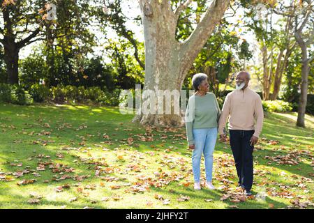 Image d'un heureux couple senior afro-américain dans le jardin Banque D'Images