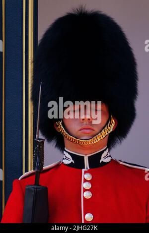 Un membre de la garde de la Reine se tient sur la piste de Buckingham Palace à Londres pendant le premier avertissement de chaleur extrême rouge du Royaume-Uni. Le Royaume-Uni est confronté à des perturbations dans les transports, à des écoles fermées et à des avertissements sanitaires alors que le pays se prépare à une chaleur extrême au cours des deux prochains jours, avec des températures qui devraient atteindre les 30s dans certaines régions lundi, alors que mardi devrait être encore plus chaud. Date de la photo: Lundi 18 juillet 2022. Banque D'Images