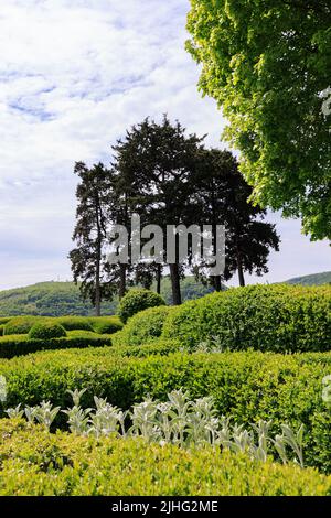Jardins de Marquyssac près de Beynac le long de la Dordogne dans la région du Périgord en France Banque D'Images