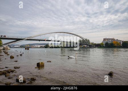 Cygne sur le Rhin par le pont des trois pays reliant l'Allemagne et l'Alsace France Banque D'Images