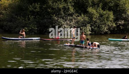 Londres, Royaume-Uni. 18 juillet 2022 les Paddleboarders jouent au frais dans la Tamise pendant une journée de températures exceptionnellement élevées Andrew Fosker / Alamy Live News Banque D'Images