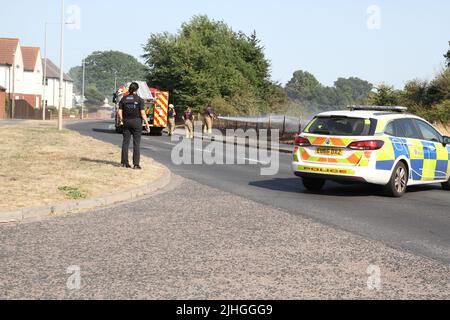 Colchester, Royaume-Uni. 18 juillet 2022. Les températures élevées ont contribué à de petits incendies sur une zone de terres ouvertes à Middlewick Ranges, connue localement à Colchester sous le nom de « The Wick ». Les pompiers étaient rapidement sur les lieux pour éteindre et arroser la zone avant qu'il n'y ait un danger pour les propriétés voisines. Crédit : Eastern Views/Alamy Live News Banque D'Images