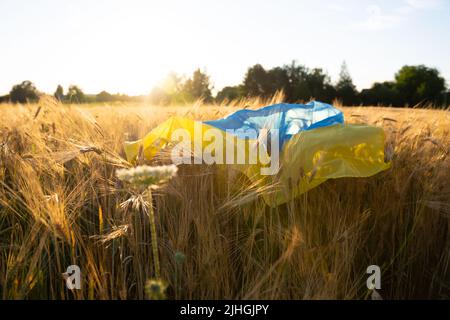 Drapeau de l'Ukraine bleu-jaune couché sur le blé mûr. Champ de blé jaune en Ukraine Banque D'Images