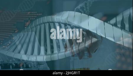 Image d'un brin d'adn en rotation traitement de données par un scientifique caucasien en laboratoire Banque D'Images