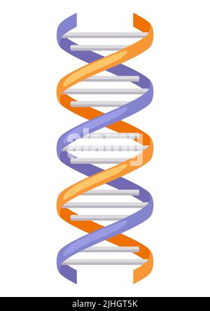 Illustration du modèle d'adn. Article médical et scientifique. Image pour le laboratoire et l'industrie de la recherche. Illustration de Vecteur