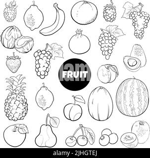 Dessin animé noir et blanc illustration de la page de coloriage de l'ensemble d'objets de fruits frais Illustration de Vecteur