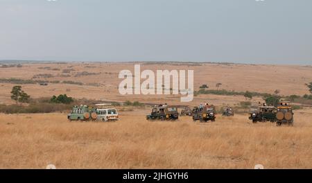 Touristes sur la route de jeu à Maasai Mara, Kenya. Banque D'Images