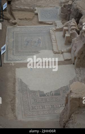 Les mosaïques dans la ville de Zeugma fondée par les Grecs et plus tard continué par les Romains en face de l'Euphrate. Patrimoine mondial de la Turquie Banque D'Images