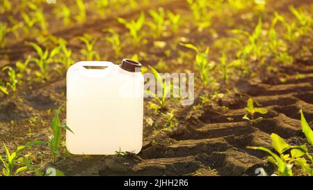 Canister blanc vierge d'herbicide dans le champ de semis de maïs au coucher du soleil de printemps, foyer sélectif Banque D'Images