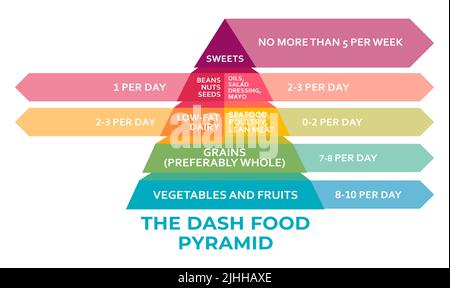 PYRAMIDE diète DASH. Le DASH alimentaire comme approche diététique pour arrêter l'hypertension diagramme de contour. Diminuer la pression artérielle avec une alimentation saine Banque D'Images