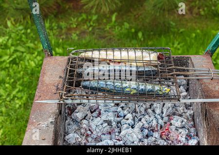 Le processus de cuisson du maquereau dans une marinade sur le gril. Le poisson est frit sur des coals chauds. Banque D'Images