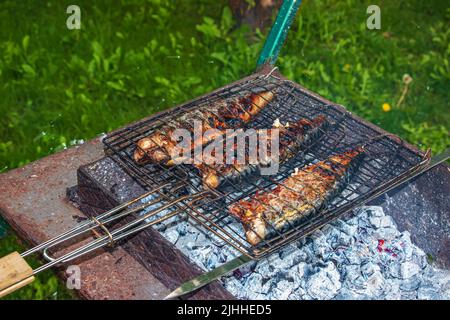 Le processus de cuisson du maquereau dans une marinade sur le gril. Le poisson est frit sur des coals chauds. Banque D'Images