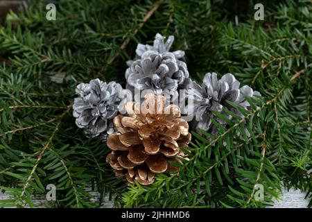 Gros plan d'un cône de pin de couleur or avec des ornements de pommes de pin argentées en arrière-plan sur de véritables branches de sapin pour le concept de vacances de Noël ou de nouvel an Banque D'Images