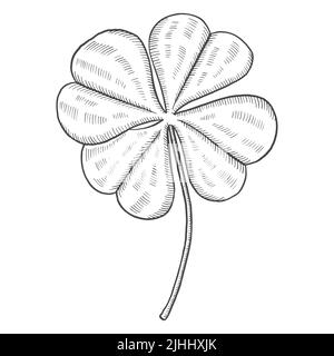 trèfle à quatre feuilles plante tropicale isolée doodle croquis dessiné à la main avec illustration vectorielle de style vectoriel Banque D'Images