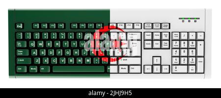 Drapeau algérien peint sur clavier d'ordinateur. 3D rendu isolé sur fond blanc Banque D'Images