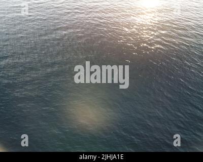 Vue aérienne des dauphins nageant lentement dans des eaux turquoise cristallines. Groupe de mammifères marins endémiques migrant le long du littoral, vu de Banque D'Images