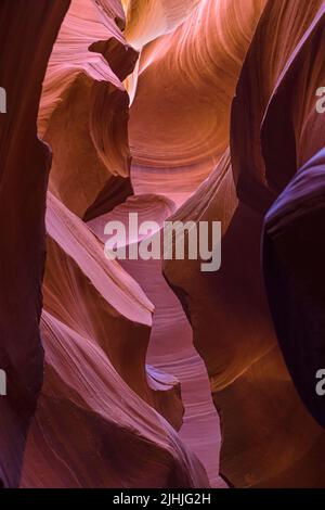 Murs tortueux dans le Lower Antelope Canyon, Arizona, États-Unis. Banque D'Images