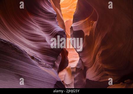 Murs en grès du Lower Antelope Canyon, Arizona, États-Unis. Banque D'Images