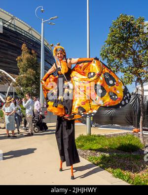 Womanon stilts en costume de papillon à la finale 2021 de l'AFL au stade Optus Burswood Perth Australie occidentale. Banque D'Images