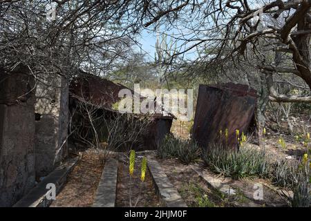 Vestiges anciens et ruines de l'or de Balashi dans le désert d'Aruba. Banque D'Images